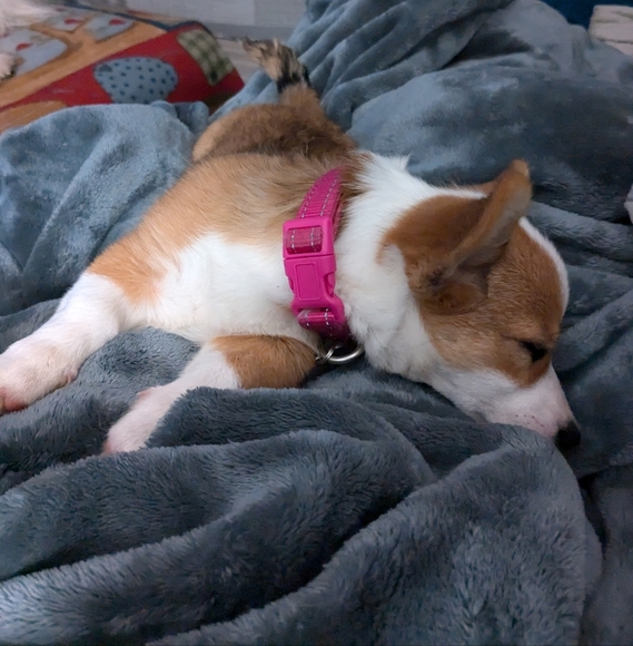 Meet your Posher, Theresa - Picture 3 of 3